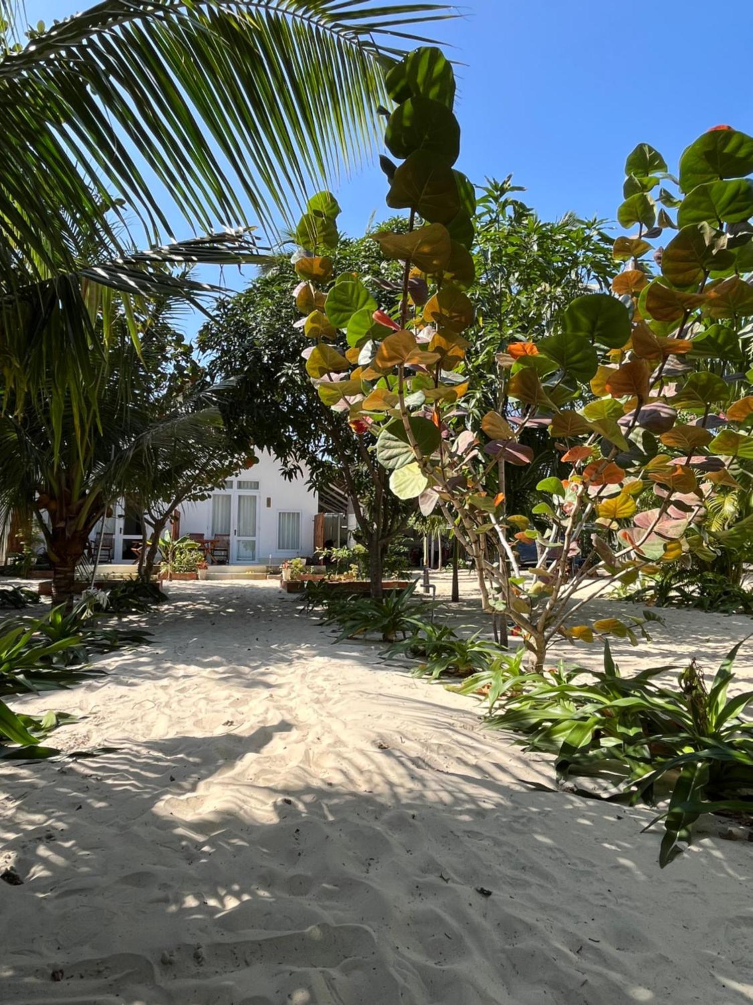 Robinson Beach Bungalow Vinh Hoa المظهر الخارجي الصورة